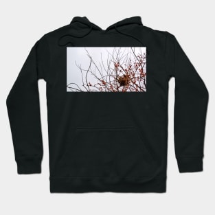 Nest in Red Berry Tree Hoodie